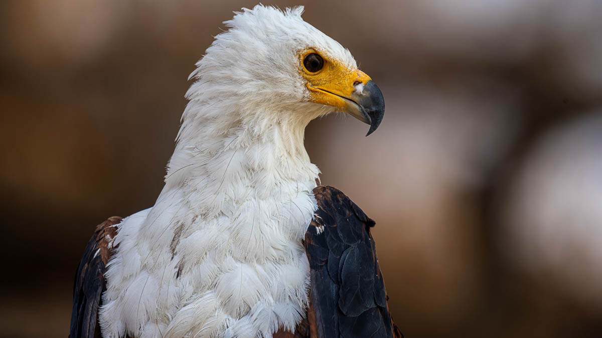 Katja und Josef Niedermeier GbR