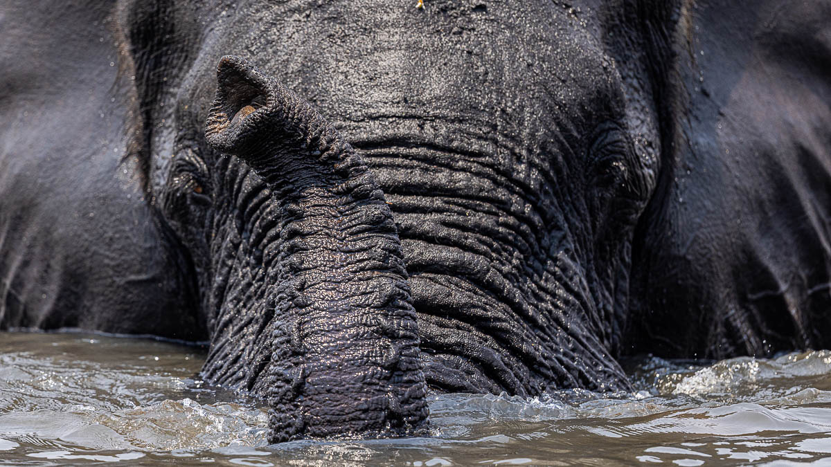 Katja und Josef Niedermeier GbR
