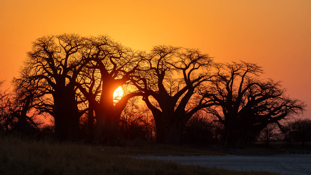 Katja und Josef Niedermeier GbR