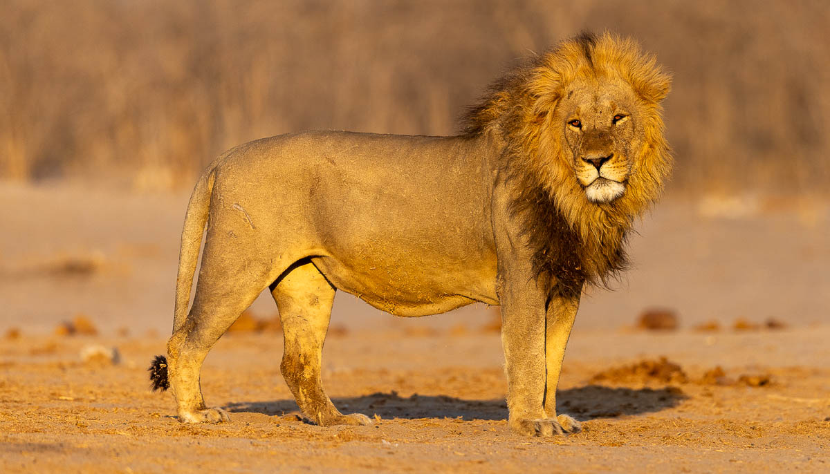 Katja und Josef Niedermeier GbR