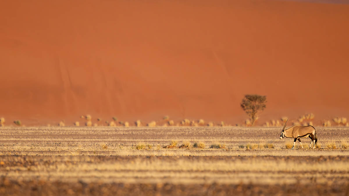 Katja und Josef Niedermeier GbR