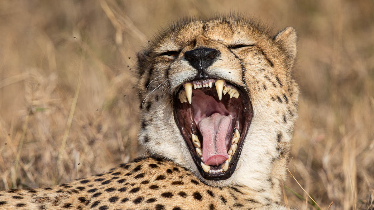 Katja und Josef Niedermeier GbR