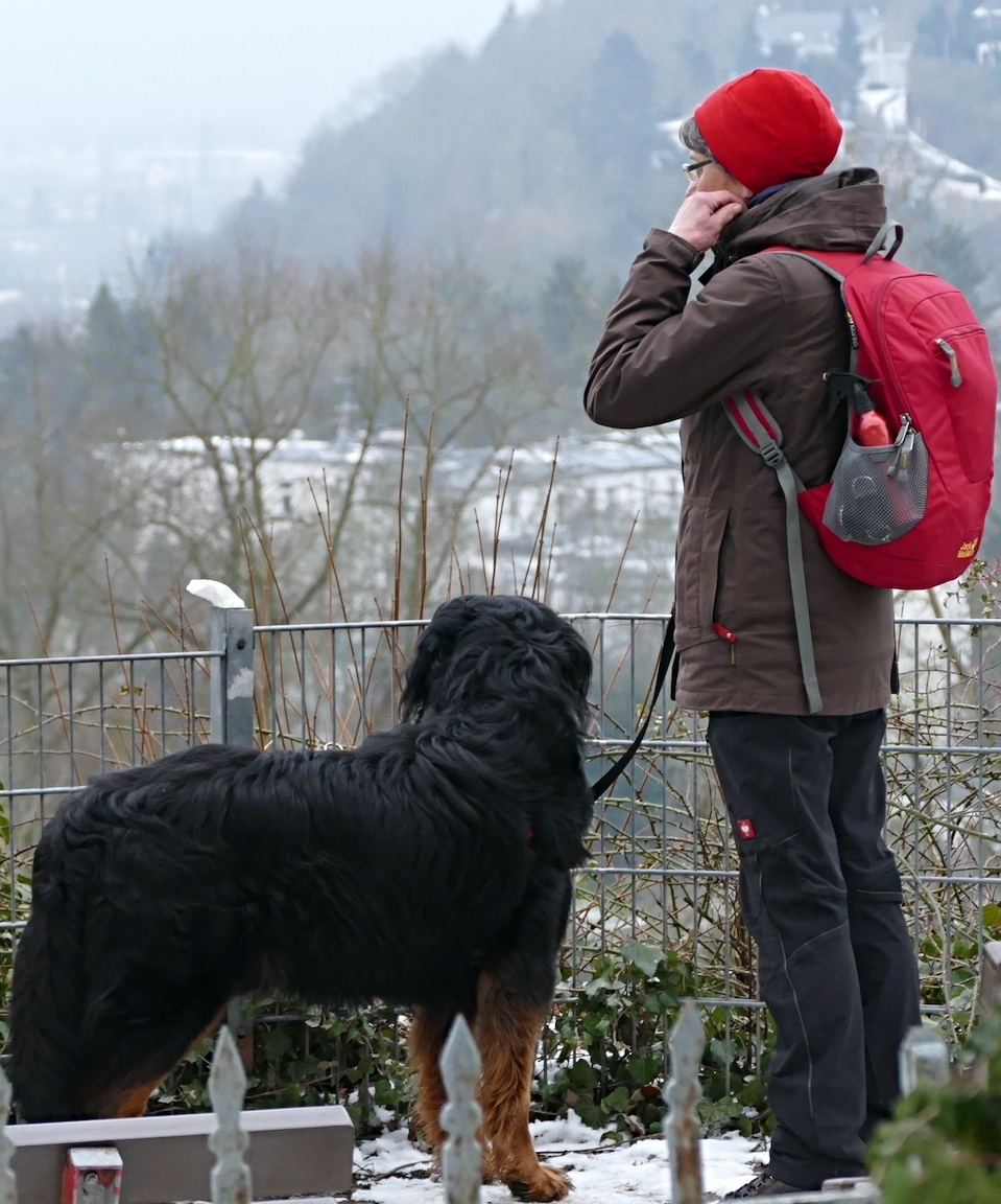 Auf dem Rolandsbogen 