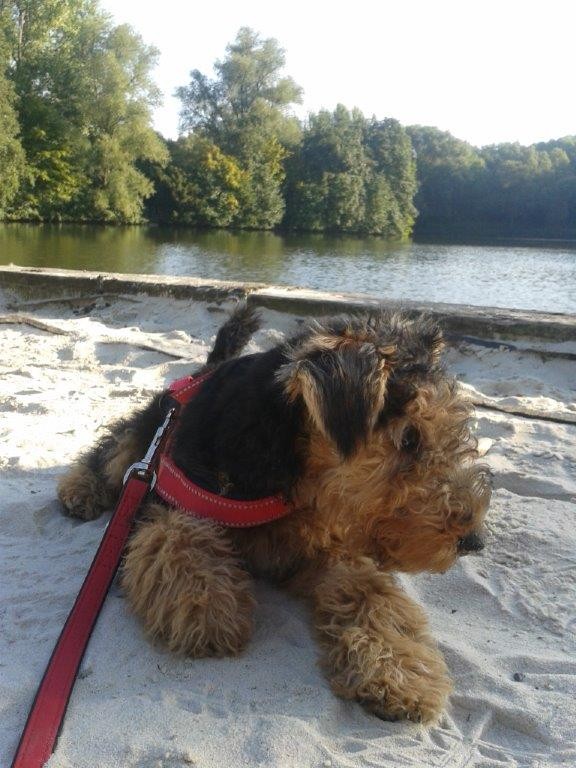 Mein 1. Strandbadbesuch