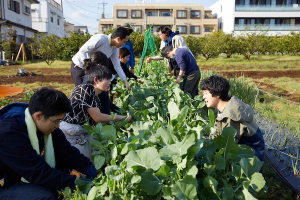 No.1 夢育て