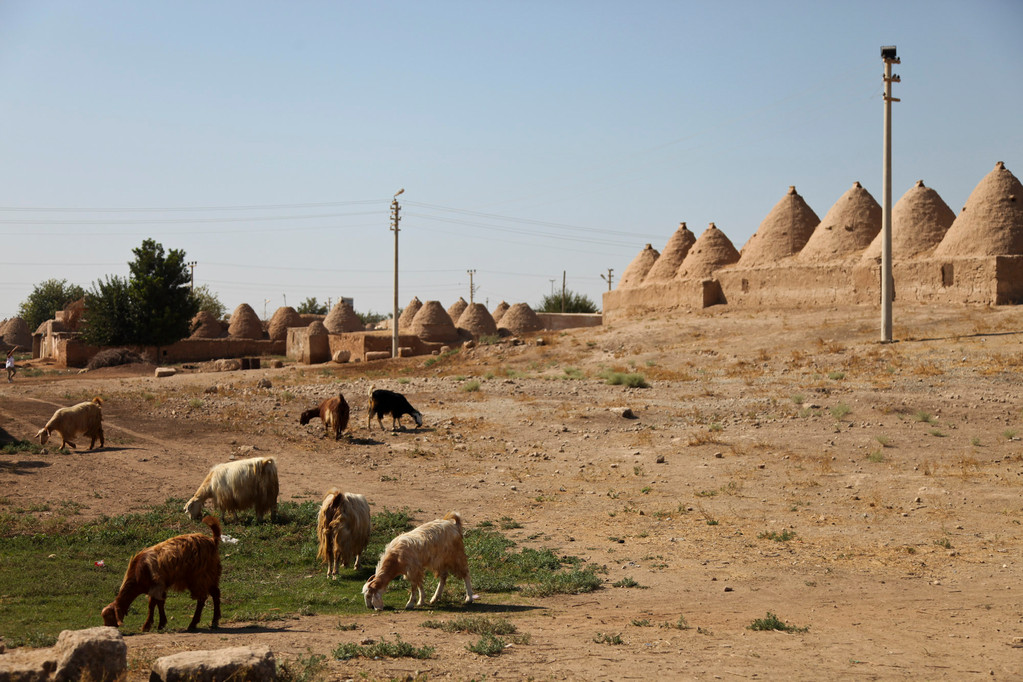 Harran, berühmt für seine Trulli-Häuser