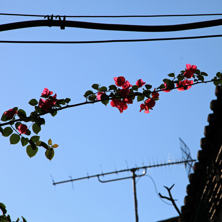 Nafplio