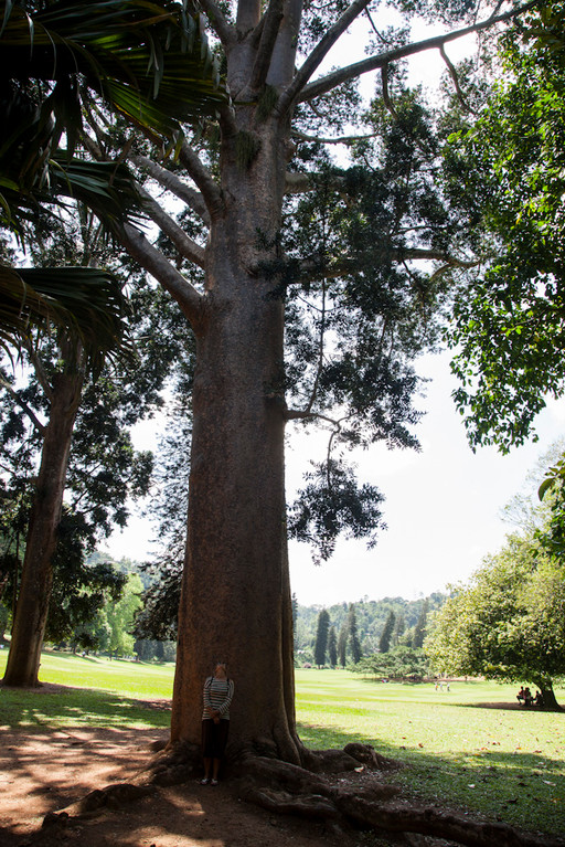 im Botanischen Garten