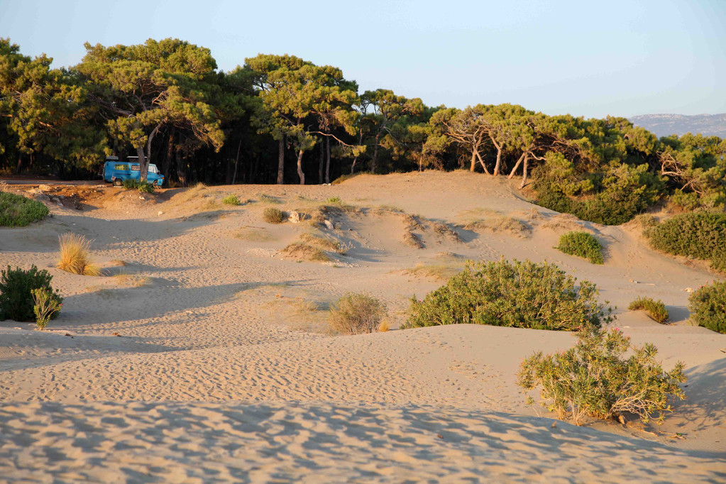 Am Dünenstrand von Patara