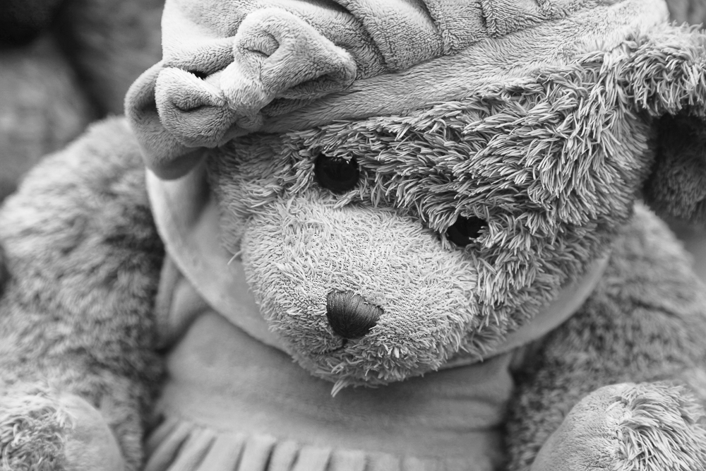 Fotos, Fotokarten, www.nicolettas-welt.ch
