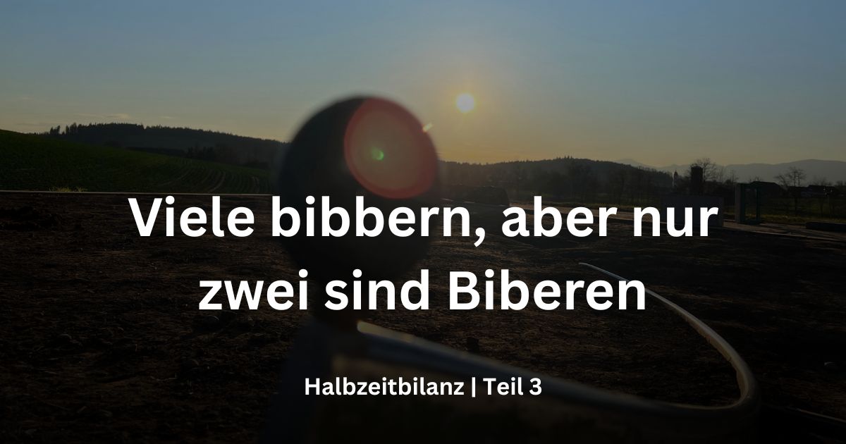 Viele bibbern, aber nur zwei sind Biberen