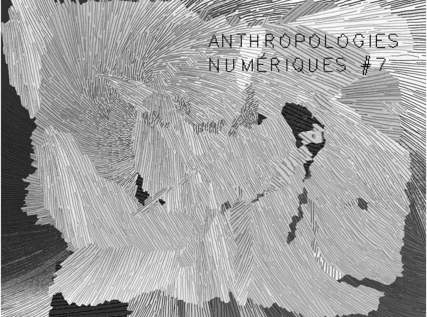 Digital Anthropologies #7