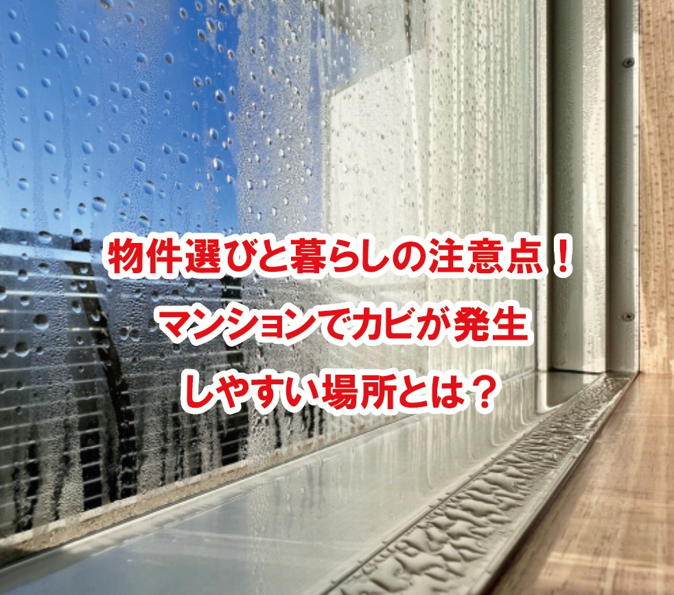 ＜物件選びと暮らしの注意点＞マンションでカビが発生しやすい場所とは？