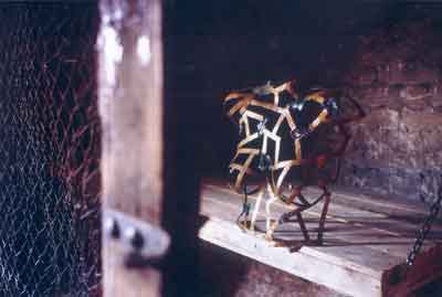 Atelierarbeiten in Cabo de Gata, Andalucia, Spain und u.a. auch im Kunsthaus Tacheles (2003 - 2005) Berlin, Deutschland.