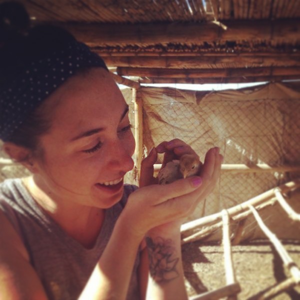 Volunteering at an organic farm in South America through Workaway.info