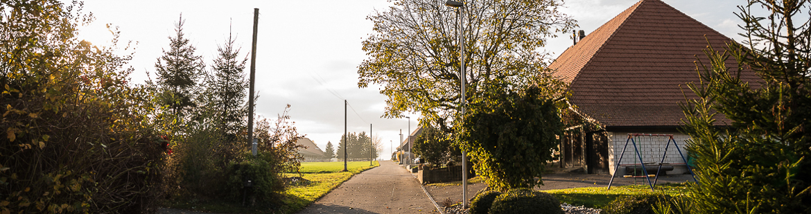 Biezwil