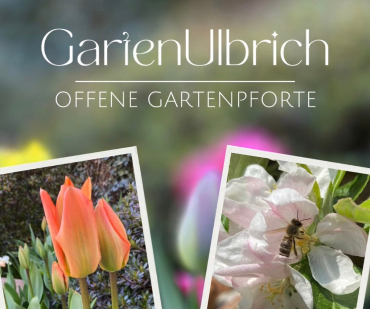 42659 Solingen Garten Ulbrich