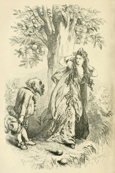 john-gilbert-yellow-dwarf-illustration