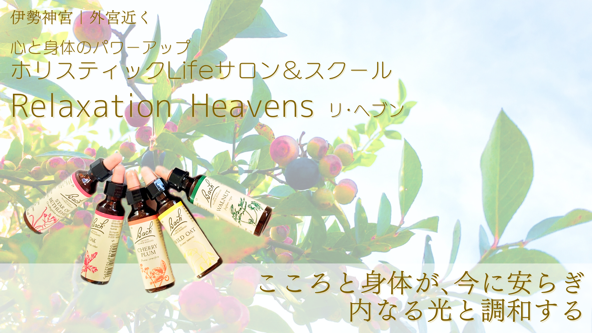 伊勢市｜心と身体のパワーアップ｜ホリスティックサロン＆スクール