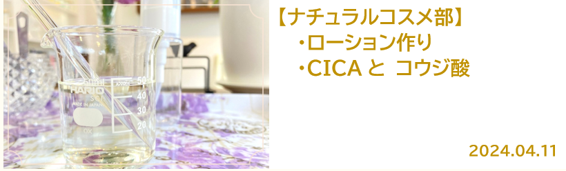 シカとコウジ酸