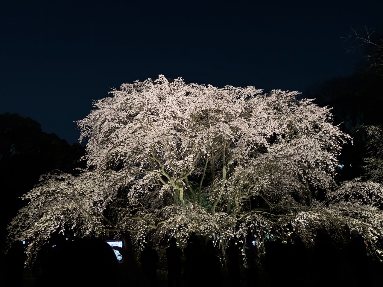 4月の金継ぎ円家gallery開催日程のお知らせ