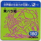 聖戦士ロビンJr. - オマケモンWORLD!（Jimdo版）
