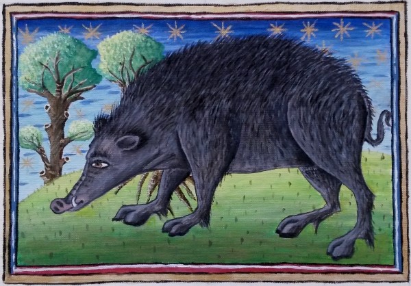 Wild Boar (Reproduction of original at Museum Meermanno), 33.5cm x 23.5cm