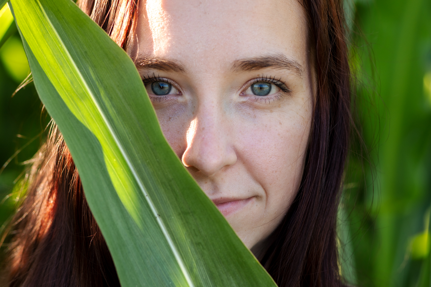Kundenbereich - Fotografie Reutlingen, Grafikdesign