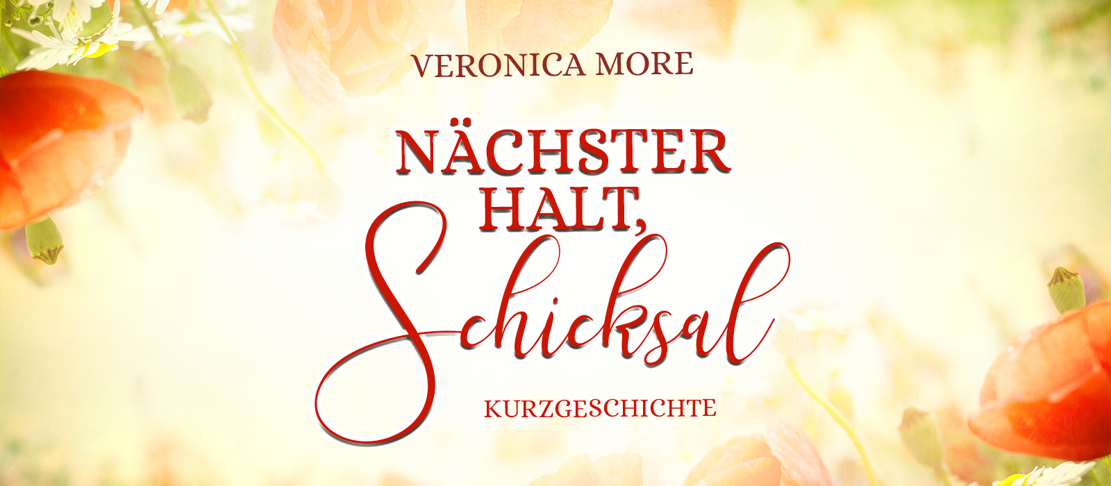 Nächster Halt, Schicksal, Veronica More, Romantik Story