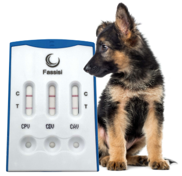 Fassisi CantiCheck Plus: Vaccine titer control made easy