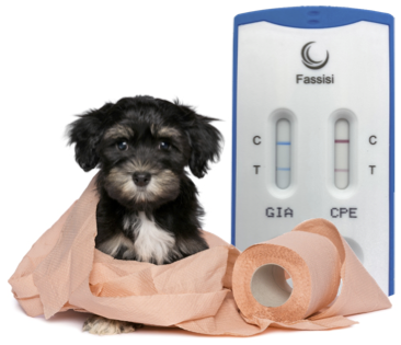 Fassisi GiarDia + CPE: The diagnostic duo for more certainty in diarrhoea!