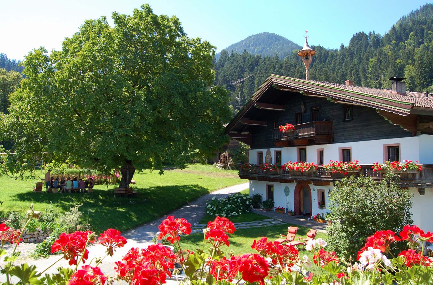 Der Ahornsee In Soll Urlaub Am Bio Bauernhof Knolln Soll Tirol Osterreich