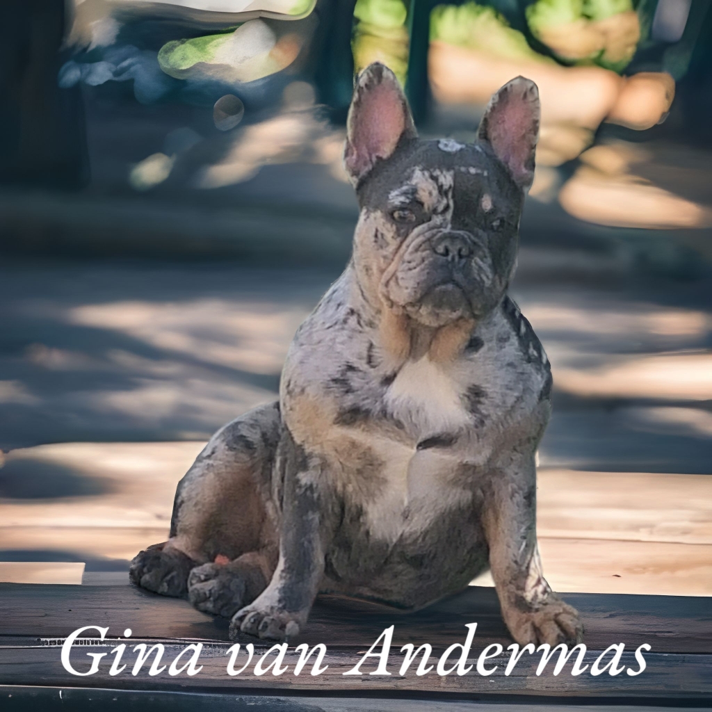 Mooie Gina van Andermas 