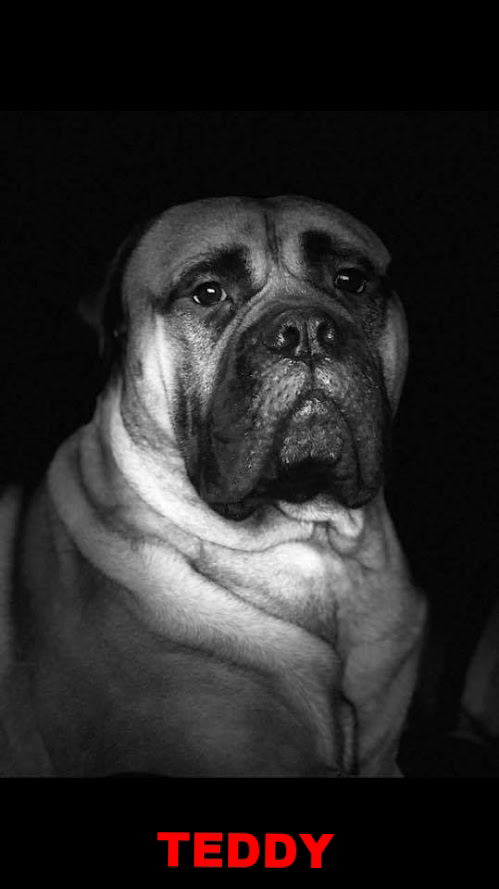 Gina x Roen 11 jaar RIP