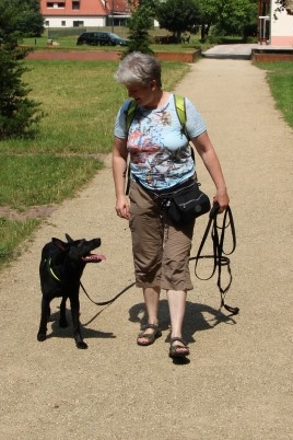 Massage, Wellness in der Hundephysiotherapie Heike Amthor in Leipzig Stötteritz