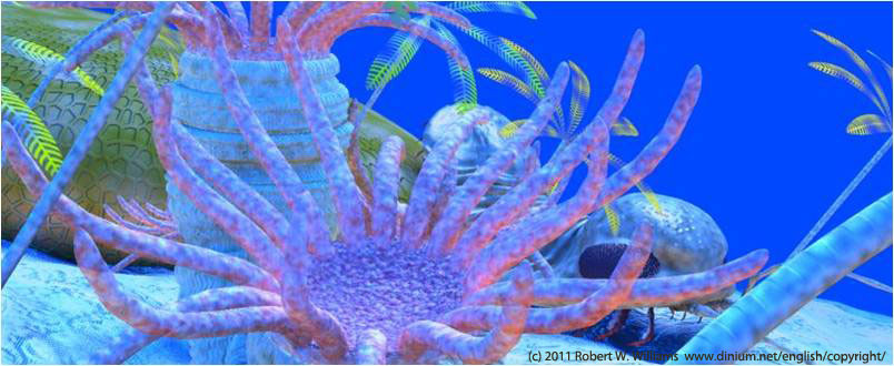 Rugose coral on a Silurian reef, 430 million years ago.