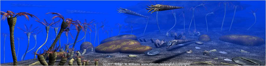 Silurian reef, 430 million years ago.