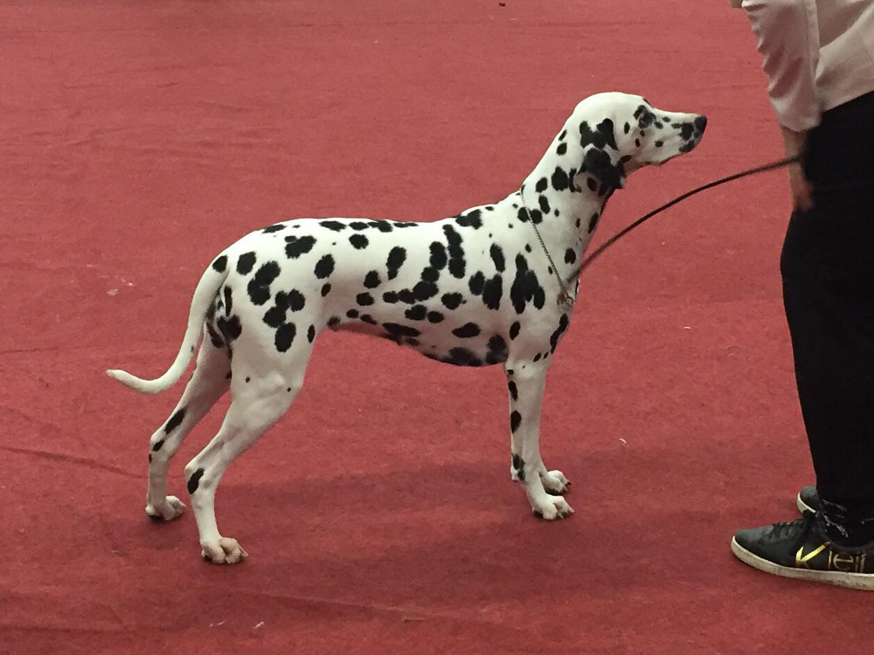 A Spottified Secret Crush, aka Liv, 9 months, Genk 2020