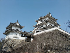 日本百名城めぐり 伊賀上野城へ
