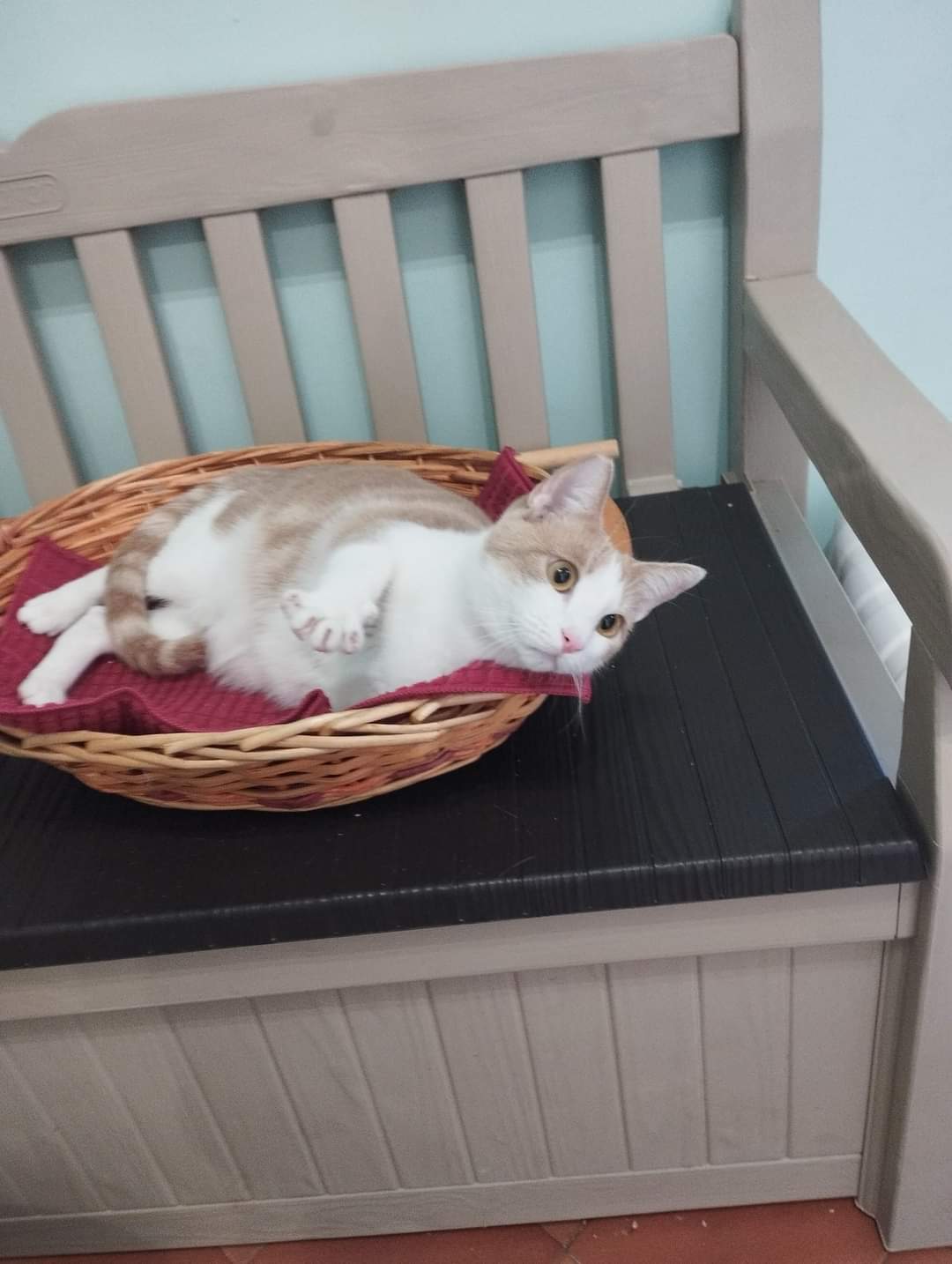 Oliver