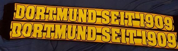 bvb seidenschal