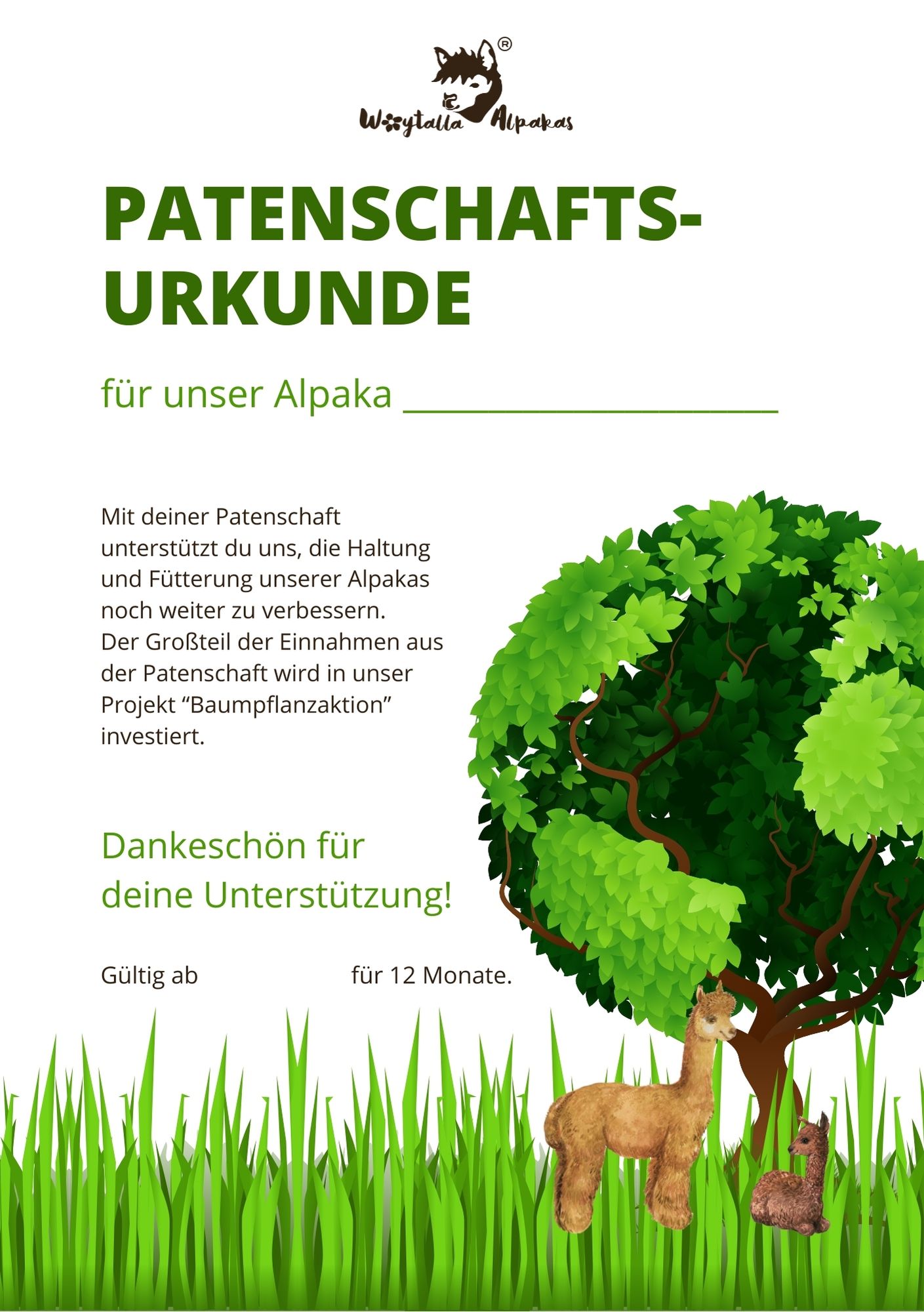 Ansicht einer Patenschafts-Urkunde