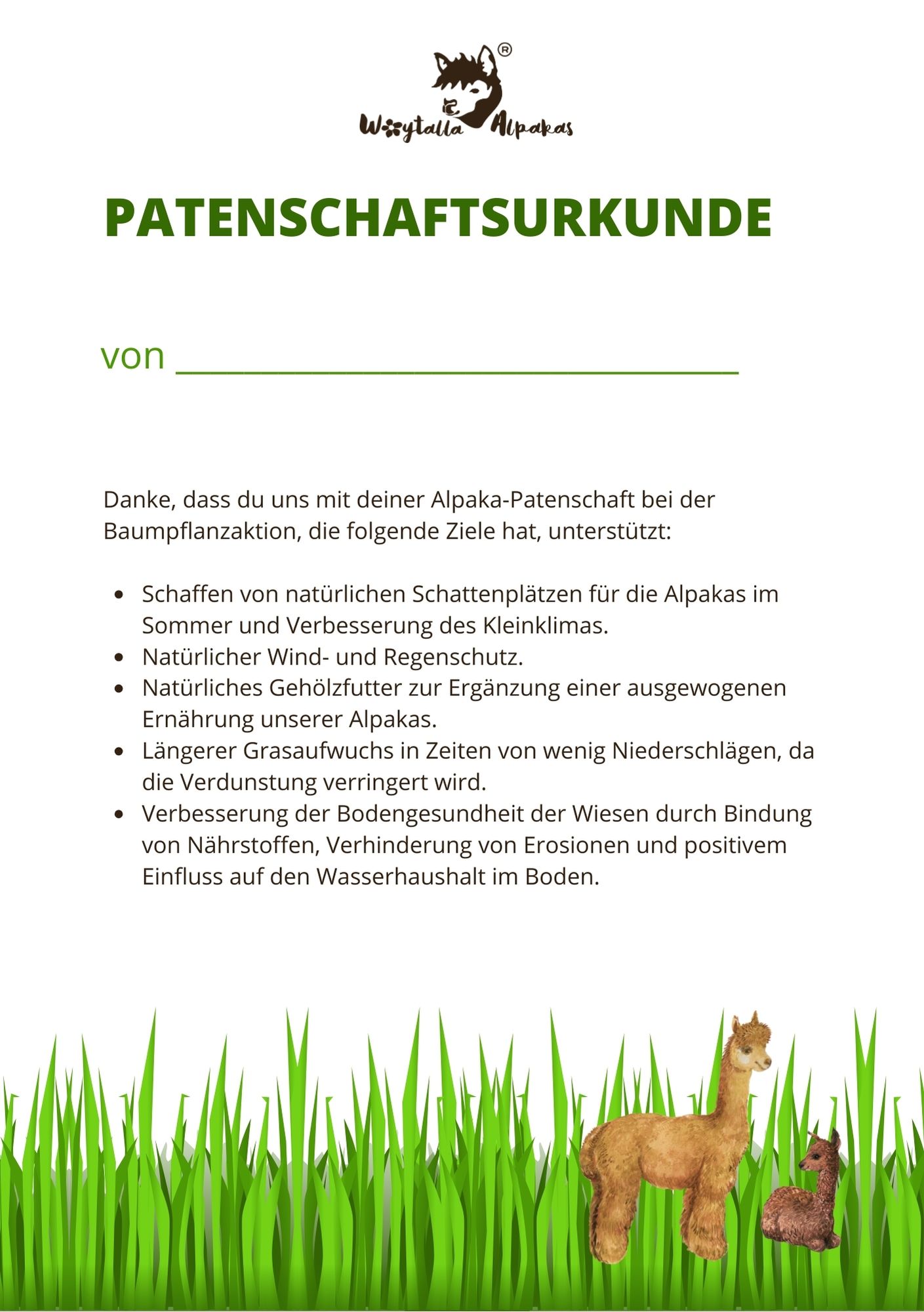 Rückseite der Patenschafts-Urkunde