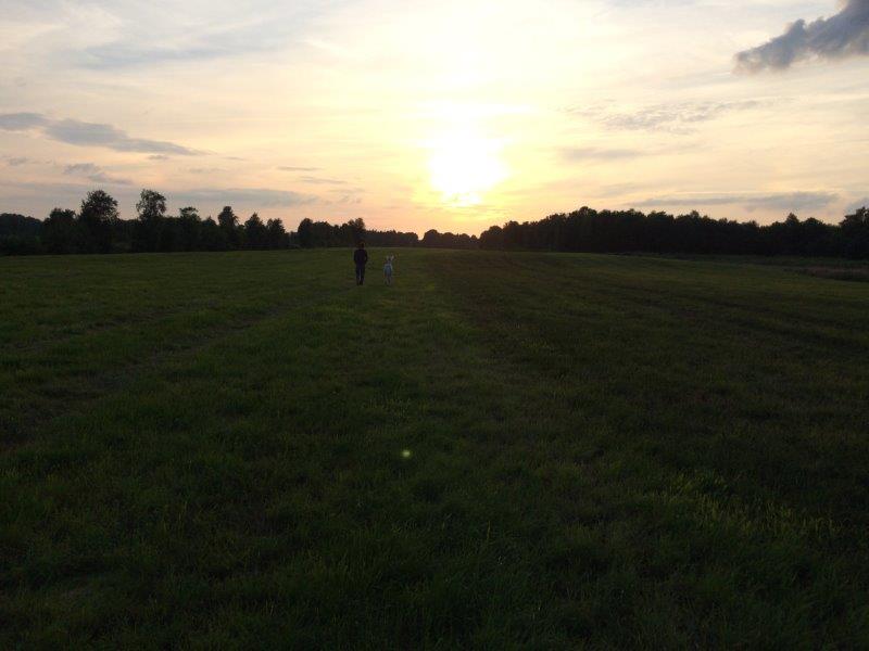 Sonnenuntergang über unserer Weide in Düdenbüttel