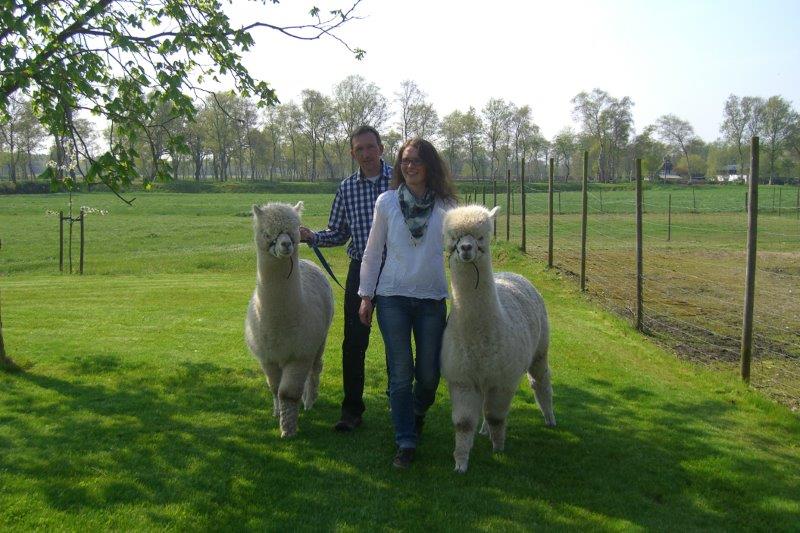 Zwei Alpakas mit Carina & Lars auf der Weide im Frühling