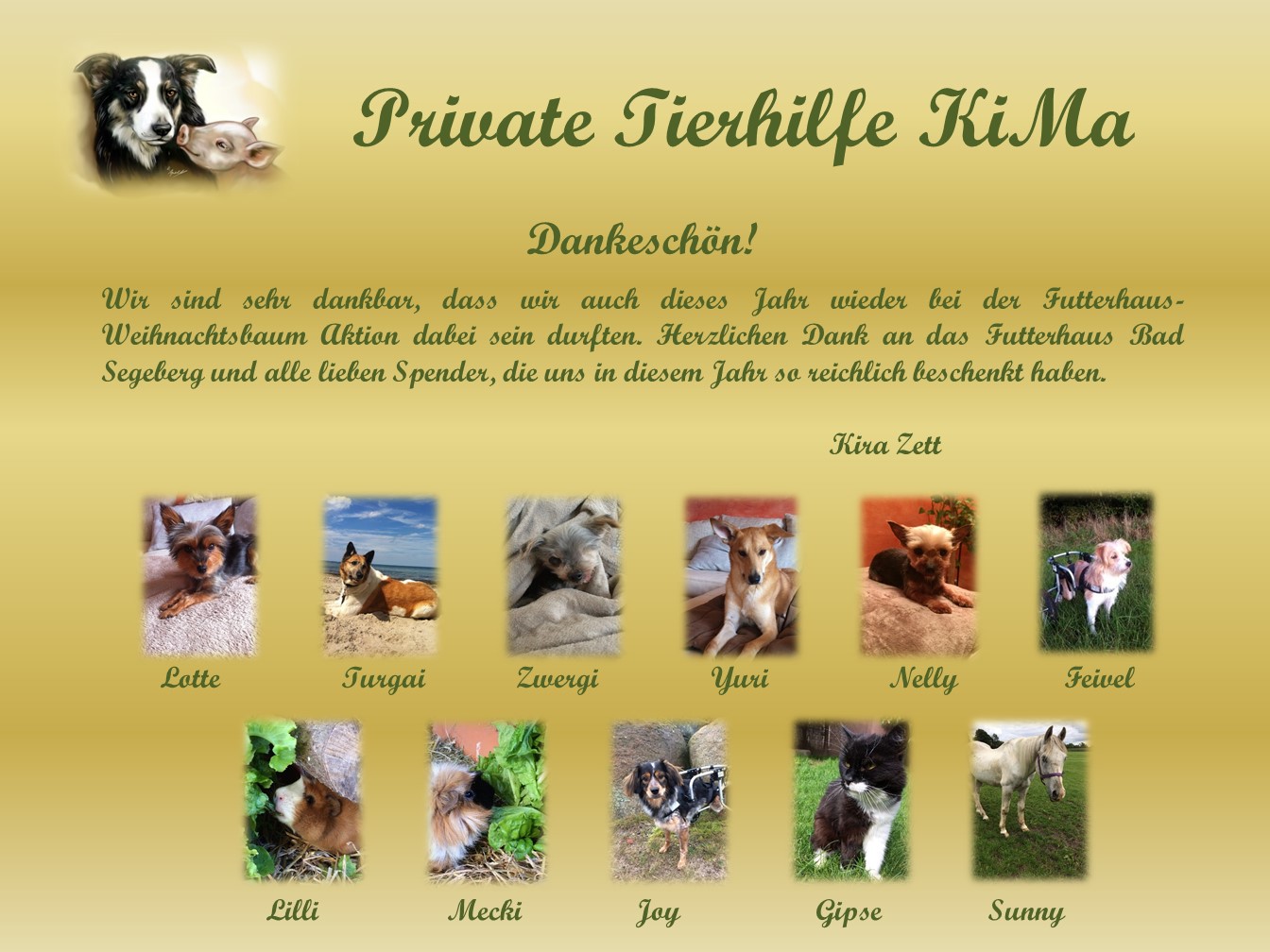 Dezember 2017 Private Tierhilfe Kima