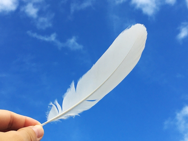 人生には諦め時がある。