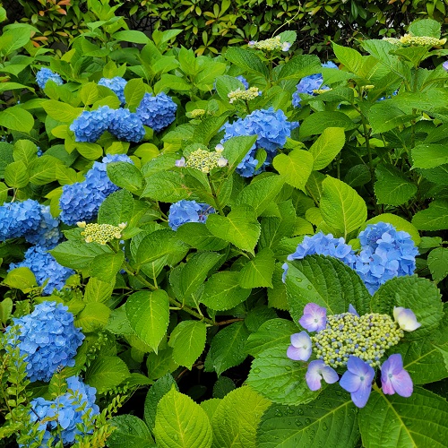 選択と覚悟