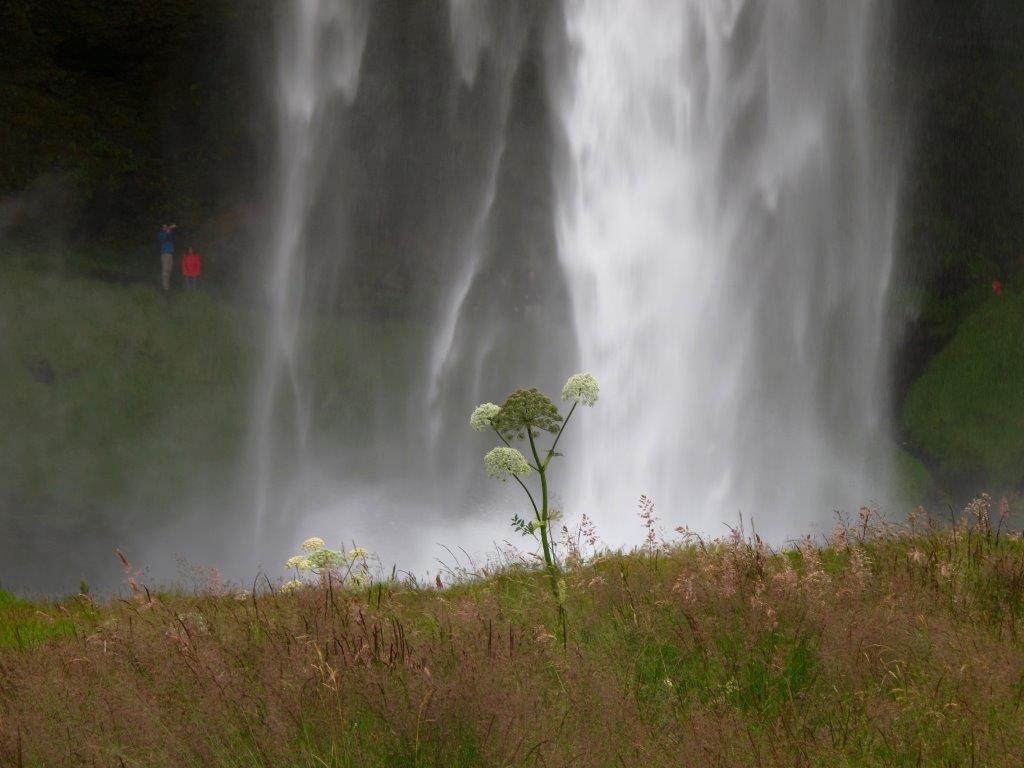 "Wasserfall" von Dr. Andrea Euler 