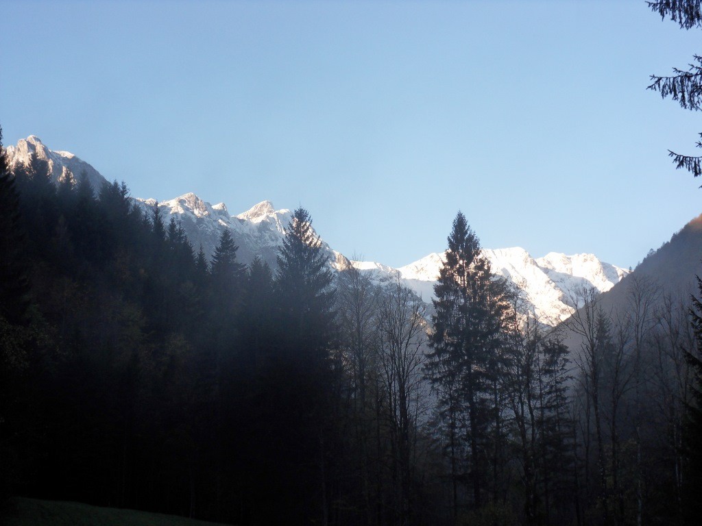 Blick ins Sengsengebirge